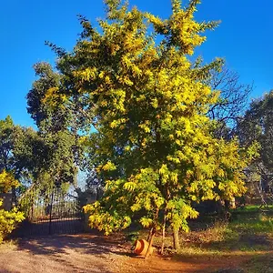 finca-la-virinuela.es-andalucia.com/
